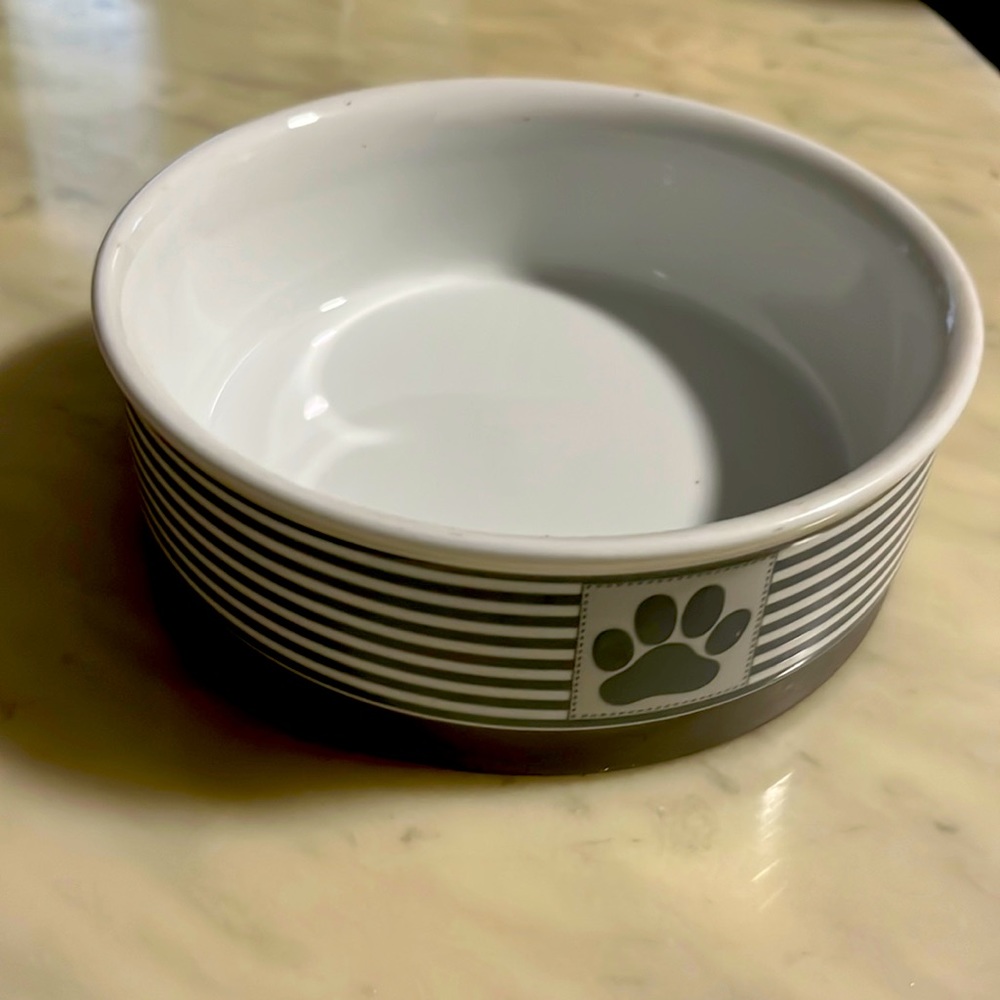 Bone Dry Ceramic Pet Bowl  For Food  or Water With Non-Skid base